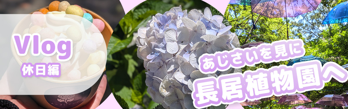 休日Vlog ～あじさい～
