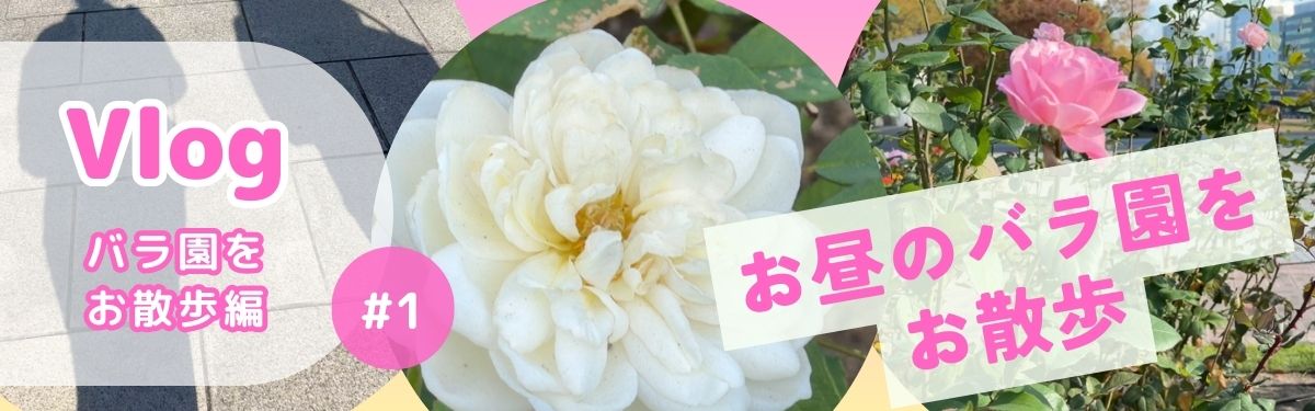 2025年11月 バラ園をお散歩#1 A.Sさん