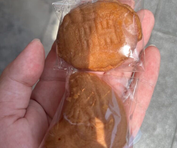 現在の画像に代替テキストがありません。ファイル名: IMG_1684.jpg