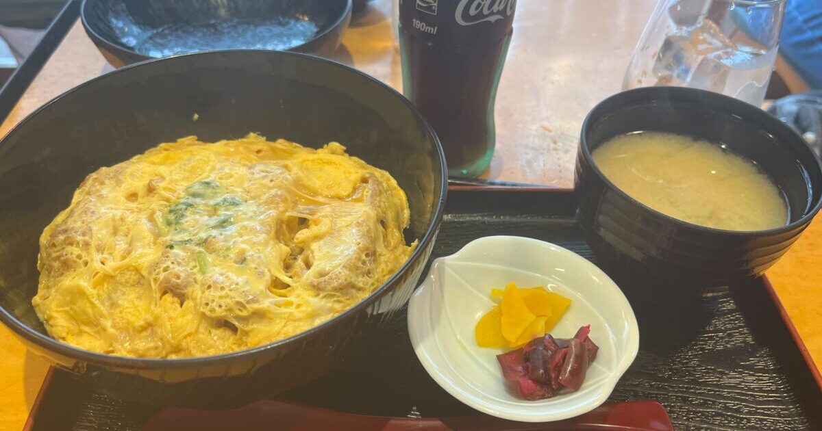 現在の画像に代替テキストがありません。ファイル名: IMG_1695.jpg